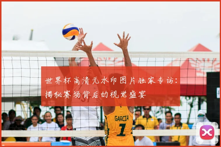 世界杯高清无水印图片独家专访：揭秘赛场背后的视觉盛宴