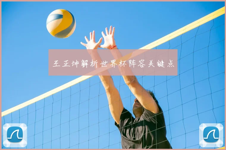 王正坤解析世界杯阵容关键点