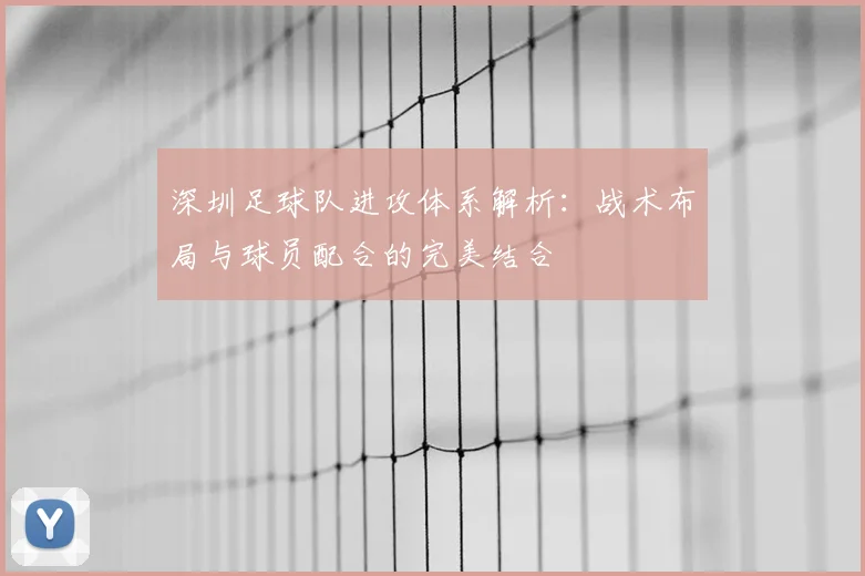 深圳足球队进攻体系解析:战术布局与球员配合的完美结合