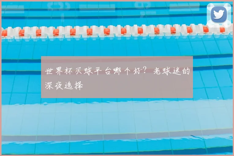 世界杯买球平台哪个好?老球迷的深夜选择