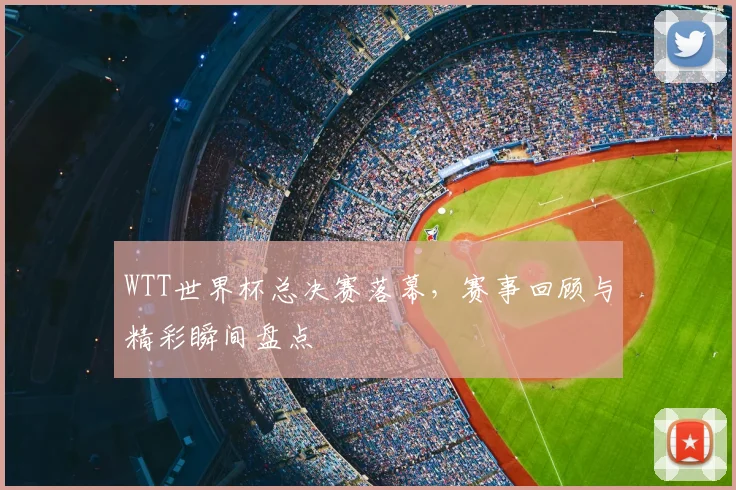 WTT世界杯总决赛落幕,赛事回顾与精彩瞬间盘点