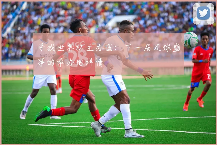 寻找世界杯主办国:下一届足球盛事的举办地详情
