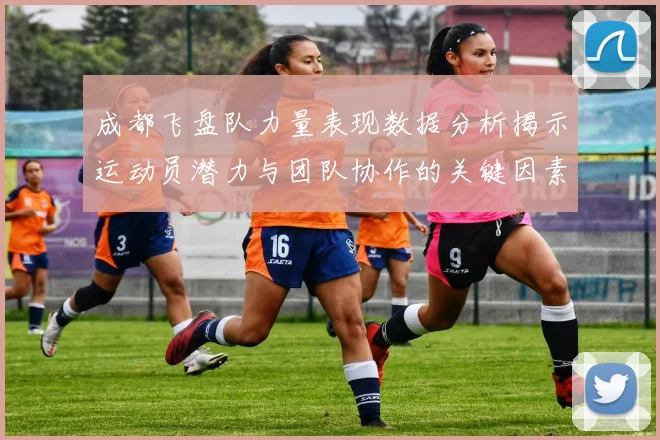 成都飞盘队力量表现数据分析揭示运动员潜力与团队协作的关键因素