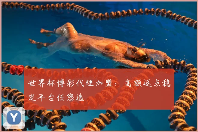 世界杯博彩代理加盟，高额返点稳定平台任您选