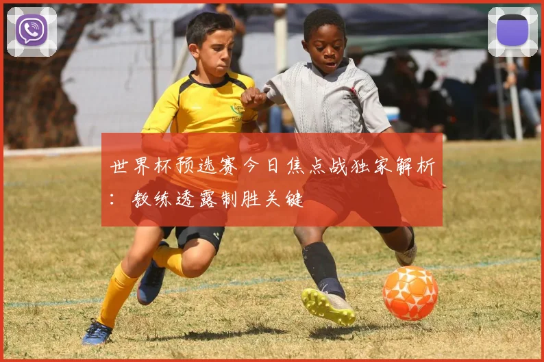 世界杯预选赛今日焦点战独家解析：教练透露制胜关键