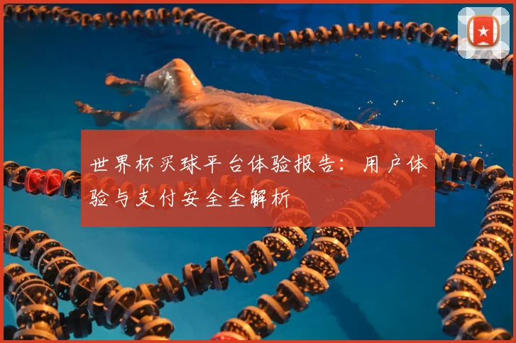 世界杯买球平台体验报告:用户体验与支付安全全解析