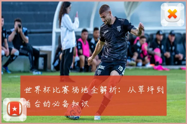 世界杯比赛场地全解析：从草坪到看台的必备知识